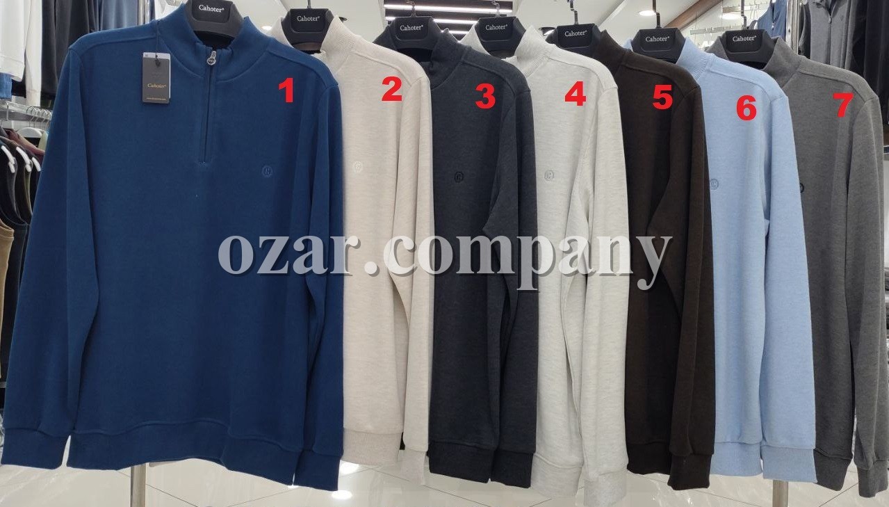 Мужской Джемпер Cahoter