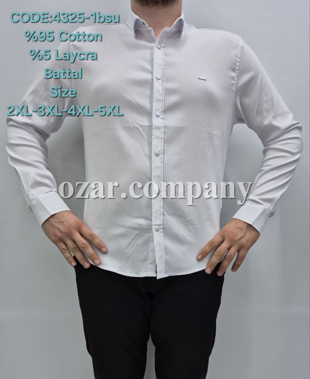 Мужская Рубашка Barbegal (Большие размеры)