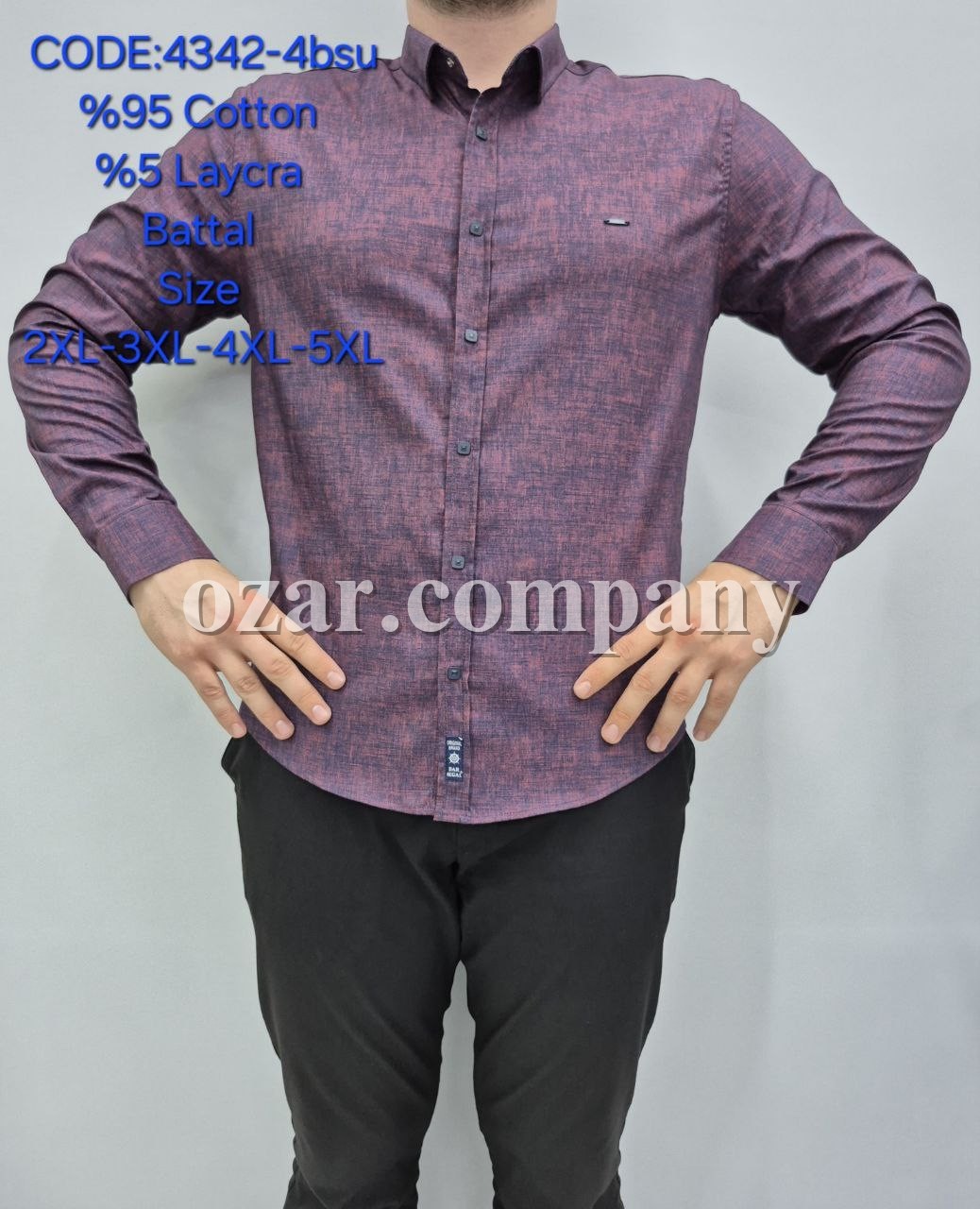 Мужская Рубашка Barbegal (Большие размеры)