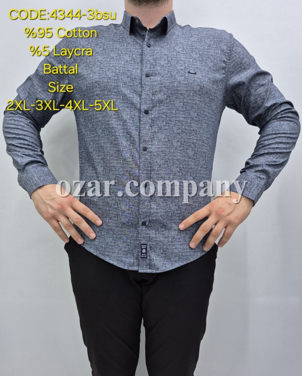 Мужская Рубашка Barbegal (Большие размеры)