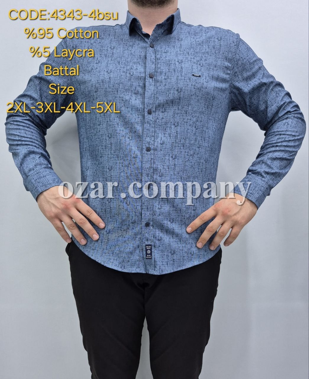 Мужская Рубашка Barbegal (Большие размеры)