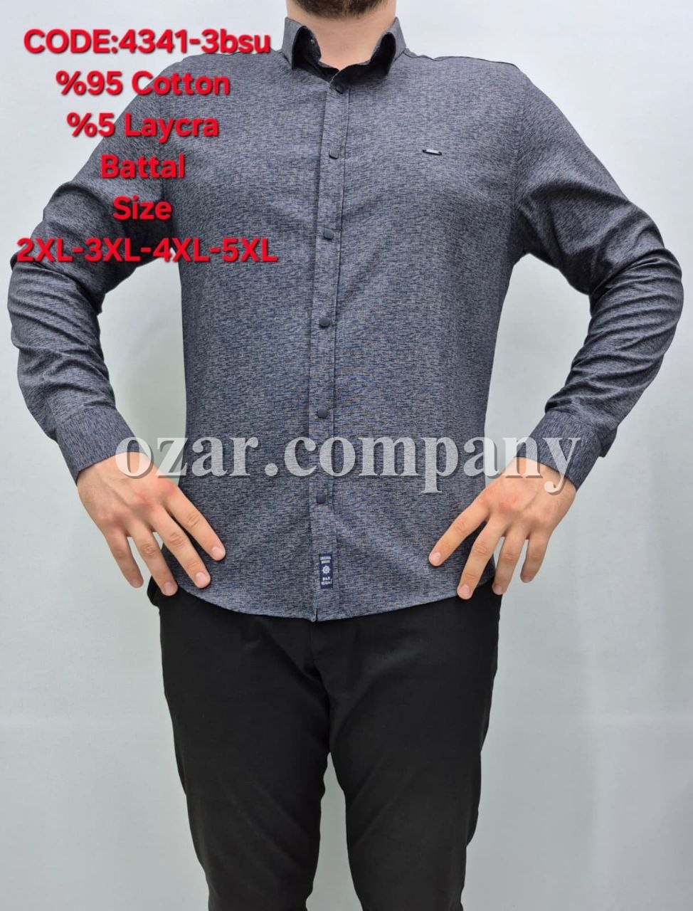 Мужская Рубашка Barbegal (Большие размеры)