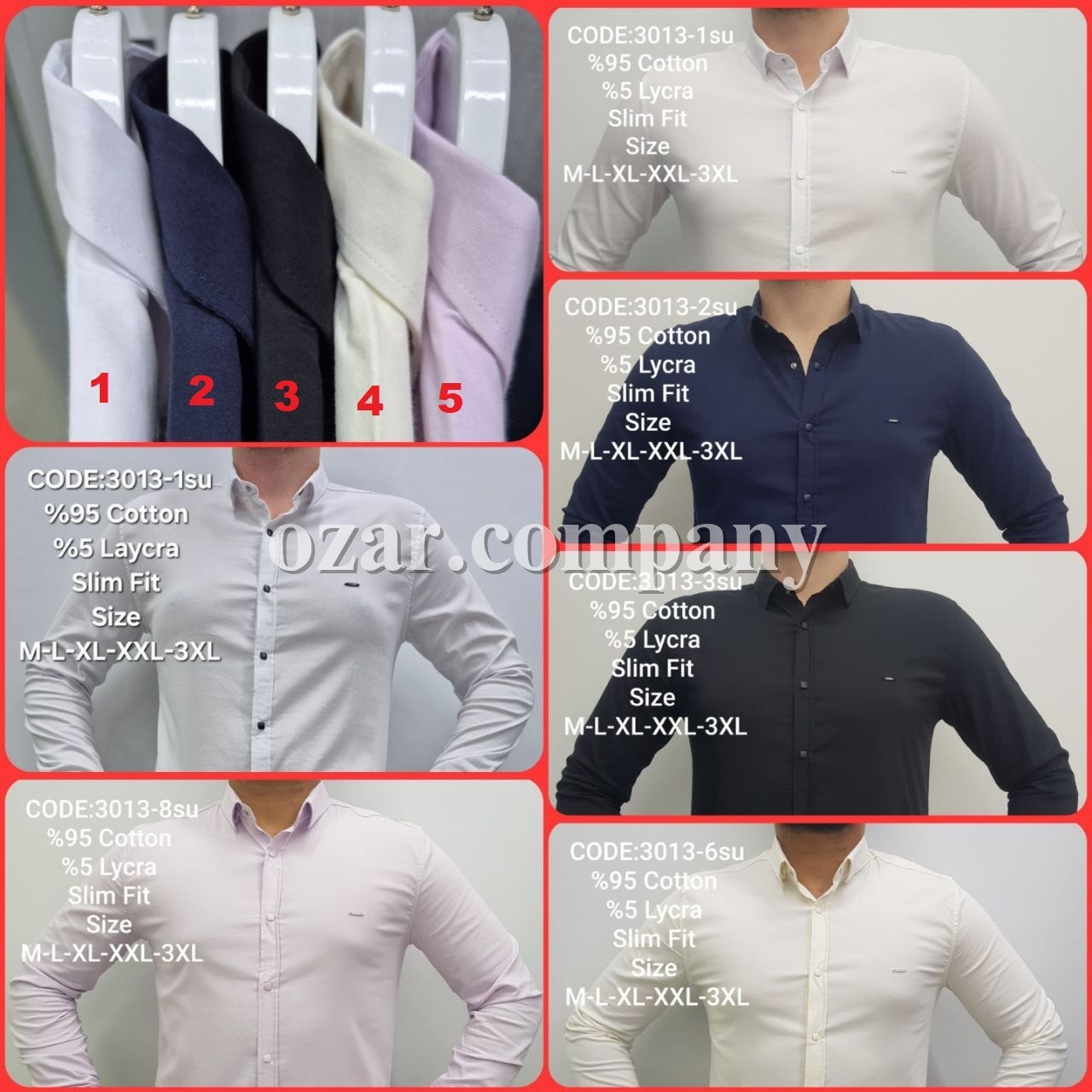 Мужская Рубашка Barbegal 