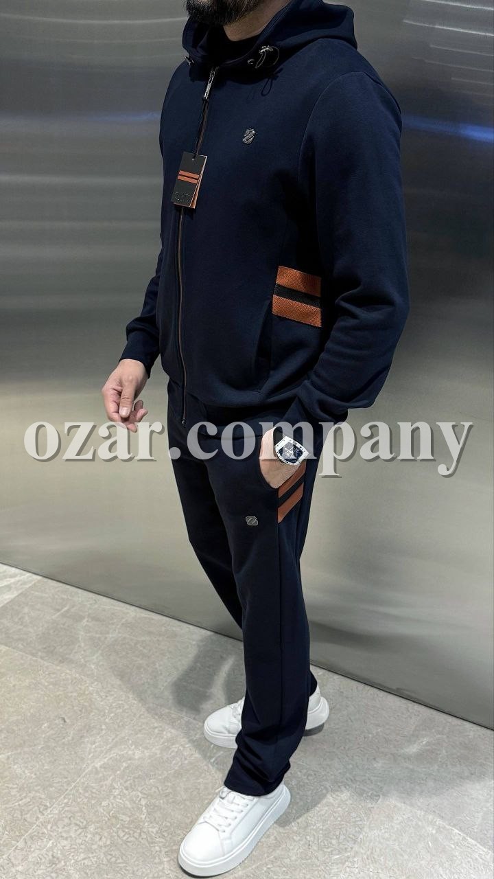 Мужской Спортивный Костюм Zegna