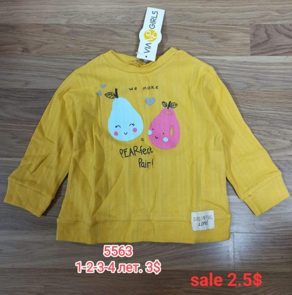 Свитшот Для Девочки Via Girls (1-2-3-4лет) 