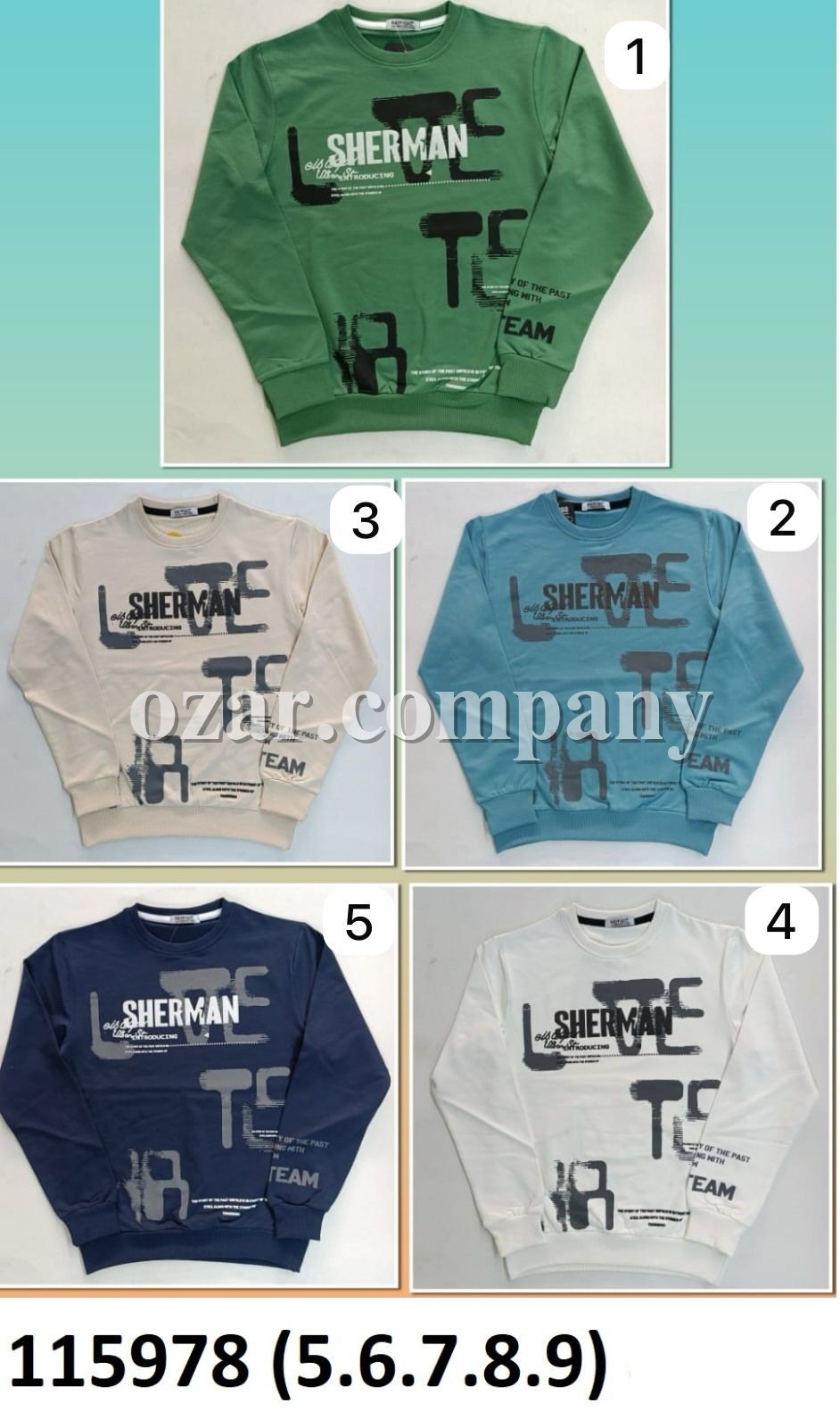 Свитшот Для Мальчика (5-6-7-8-9лет)