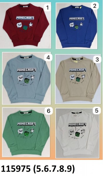 Свитшот Для Мальчика (5-6-7-8-9лет)