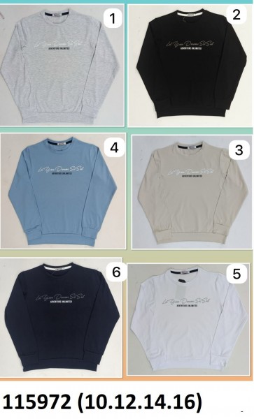 Свитшот Для Мальчика (10-12-14-16лет) 