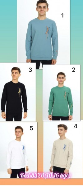 Свитшот Для Мальчика (10-12-14-16лет)