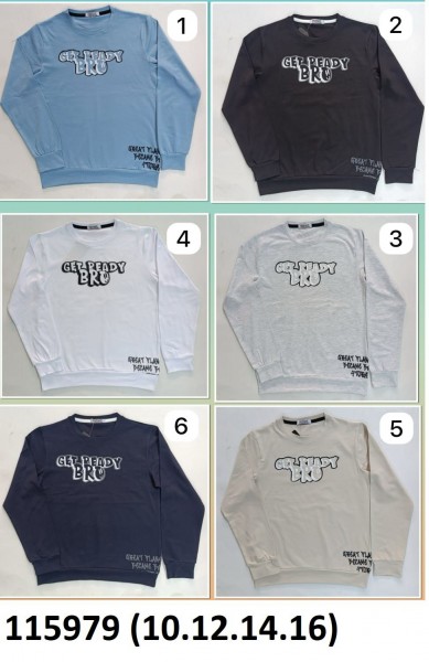 Свитшот Для Мальчика (10-12-14-16лет)