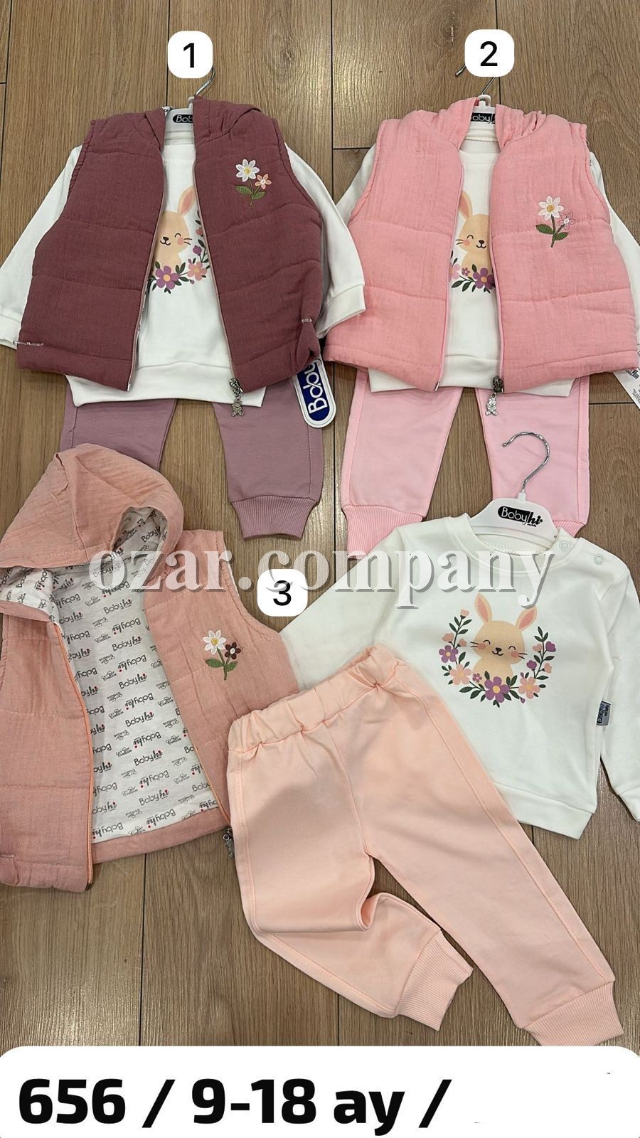 Костюм Тройка Для Девочки Babyhi (9-12-18мес.)