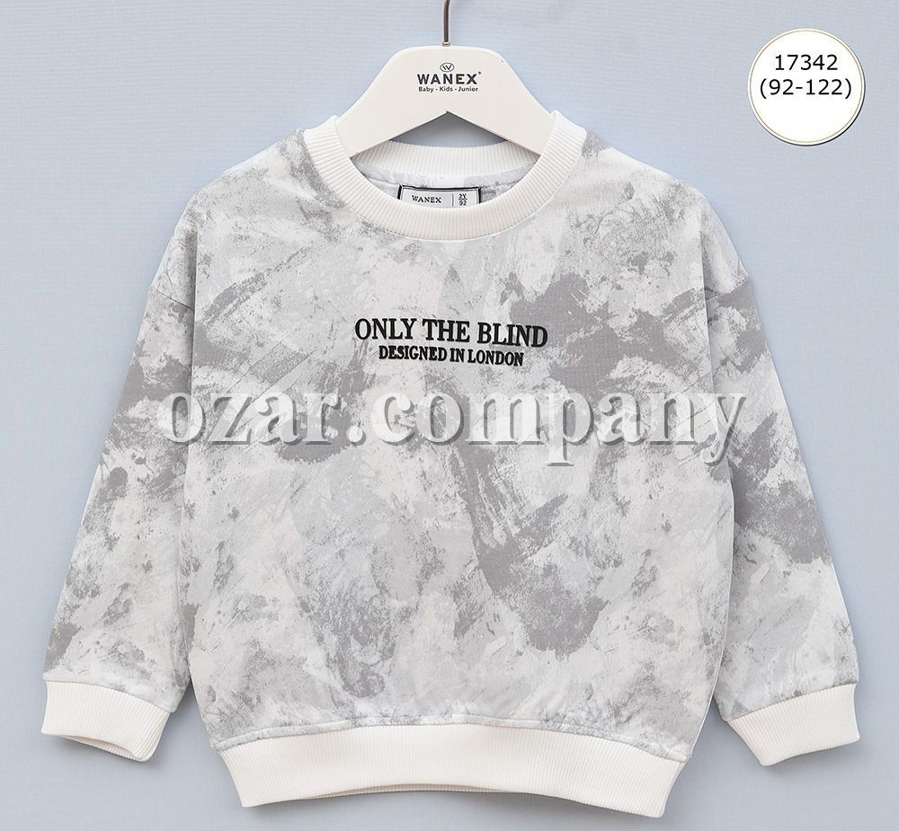 Свитшот Для Мальчика Wanex (2-3-4-5-6-7лет) 