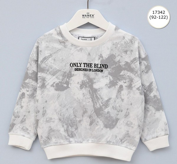 Свитшот Для Мальчика Wanex (2-3-4-5-6-7лет) 