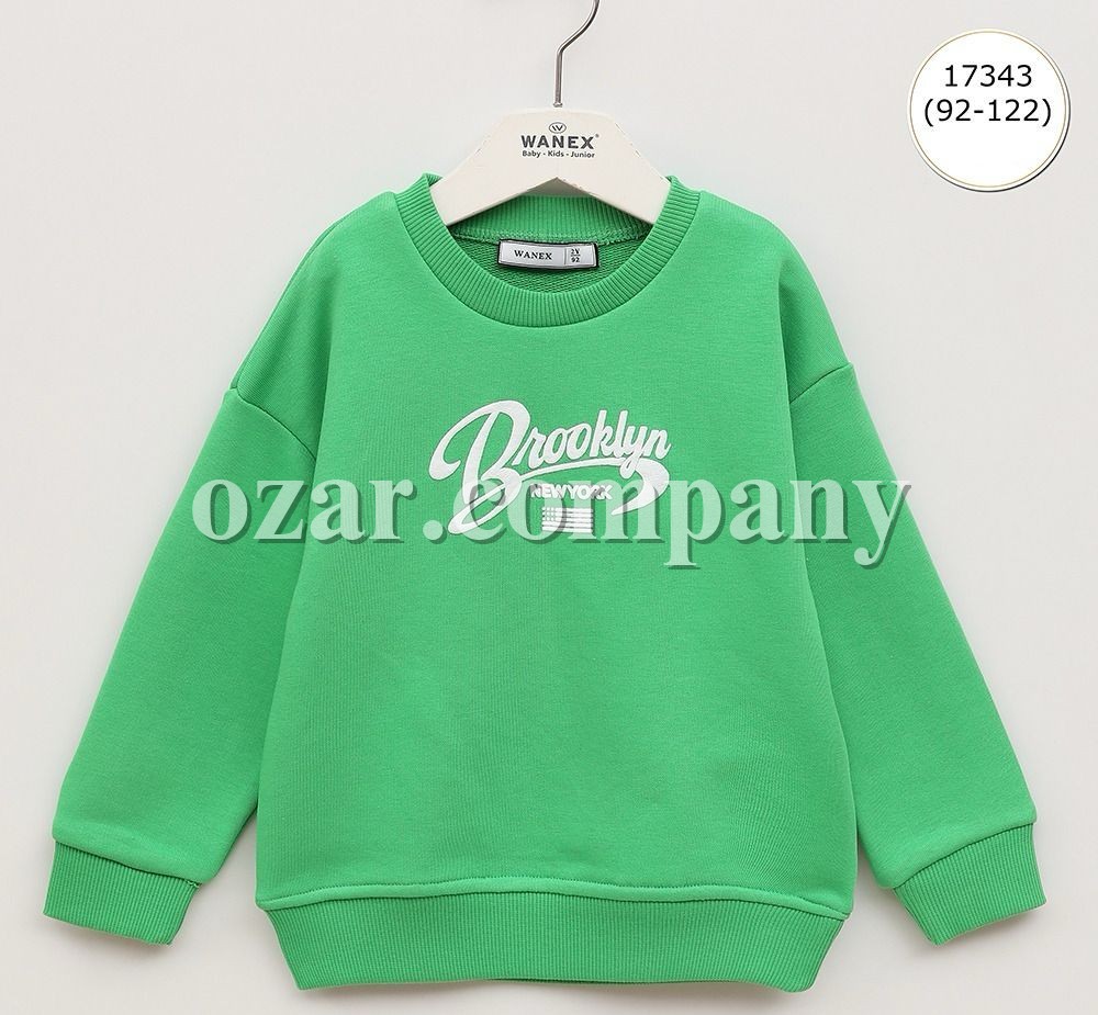 Свитшот Для Мальчика Wanex (2-3-4-5-6-7лет) 