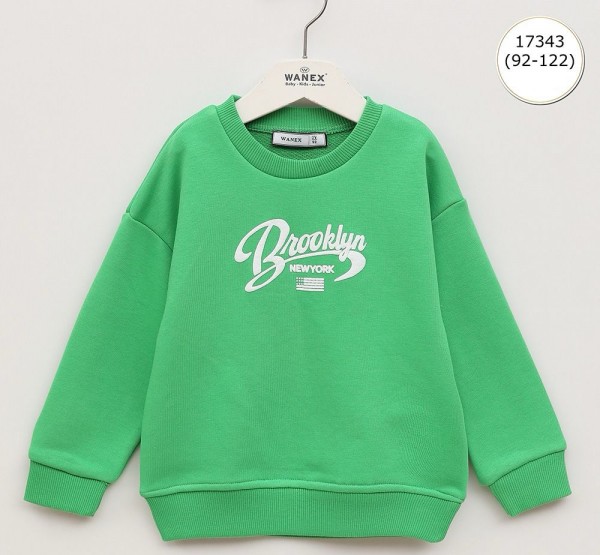 Свитшот Для Мальчика Wanex (2-3-4-5-6-7лет) 