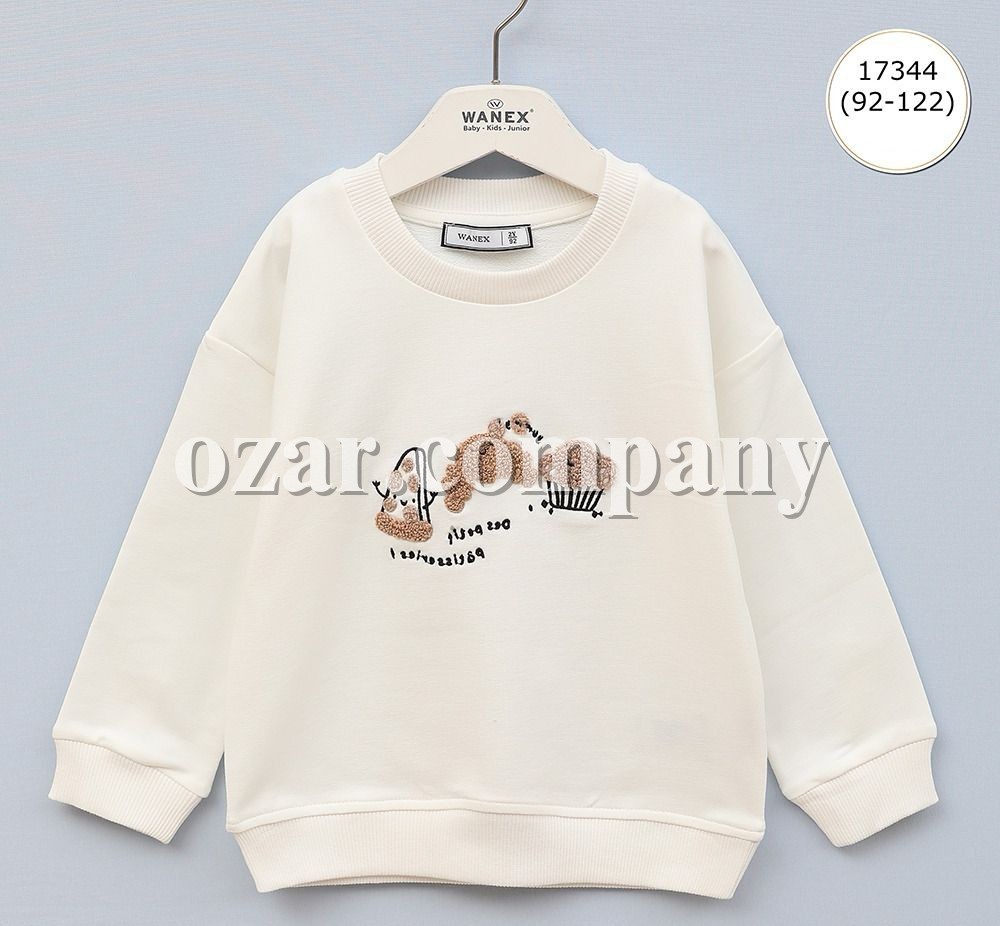 Свитшот Для Мальчика Wanex (2-3-4-5-6-7лет) 