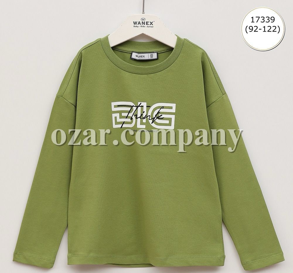 Свитшот Для Мальчика Wanex (2-3-4-5-6-7лет) 