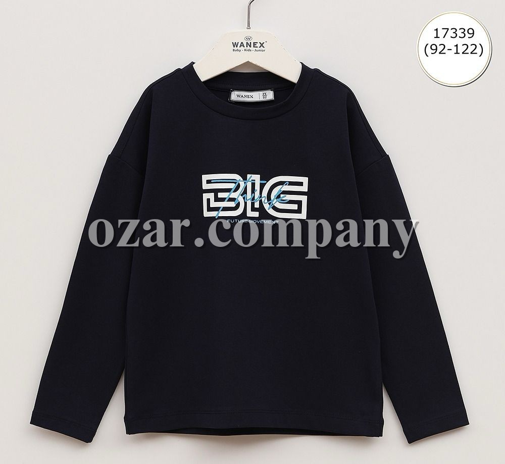 Свитшот Для Мальчика Wanex (2-3-4-5-6-7лет) 
