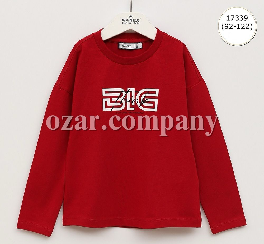 Свитшот Для Мальчика Wanex (2-3-4-5-6-7лет) 