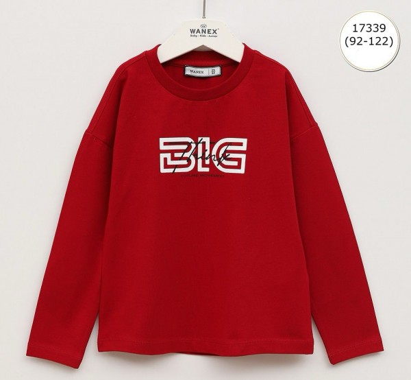 Свитшот Для Мальчика Wanex (2-3-4-5-6-7лет) 