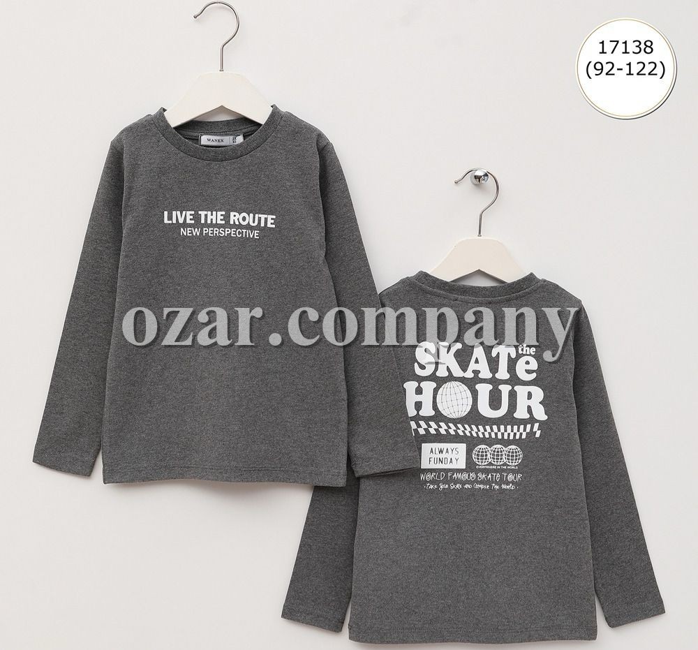 Свитшот Для Мальчика Wanex (2-3-4-5-6-7лет) 