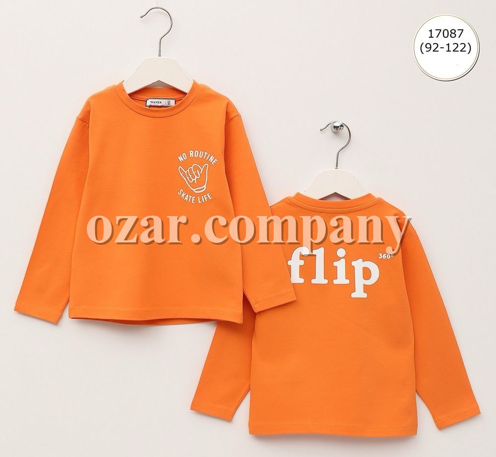 Свитшот Для Мальчика Wanex (2-3-4-5-6-7лет) 