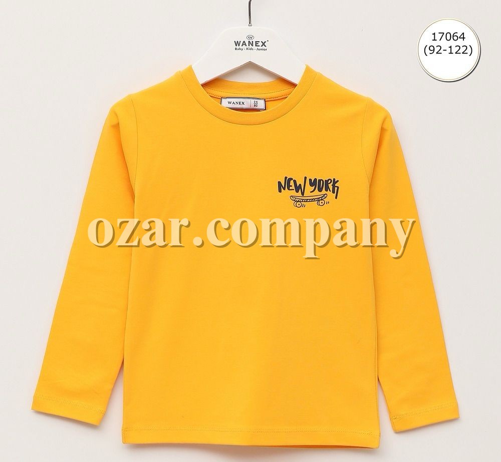 Свитшот Для Мальчика Wanex (2-3-4-5-6-7лет) 
