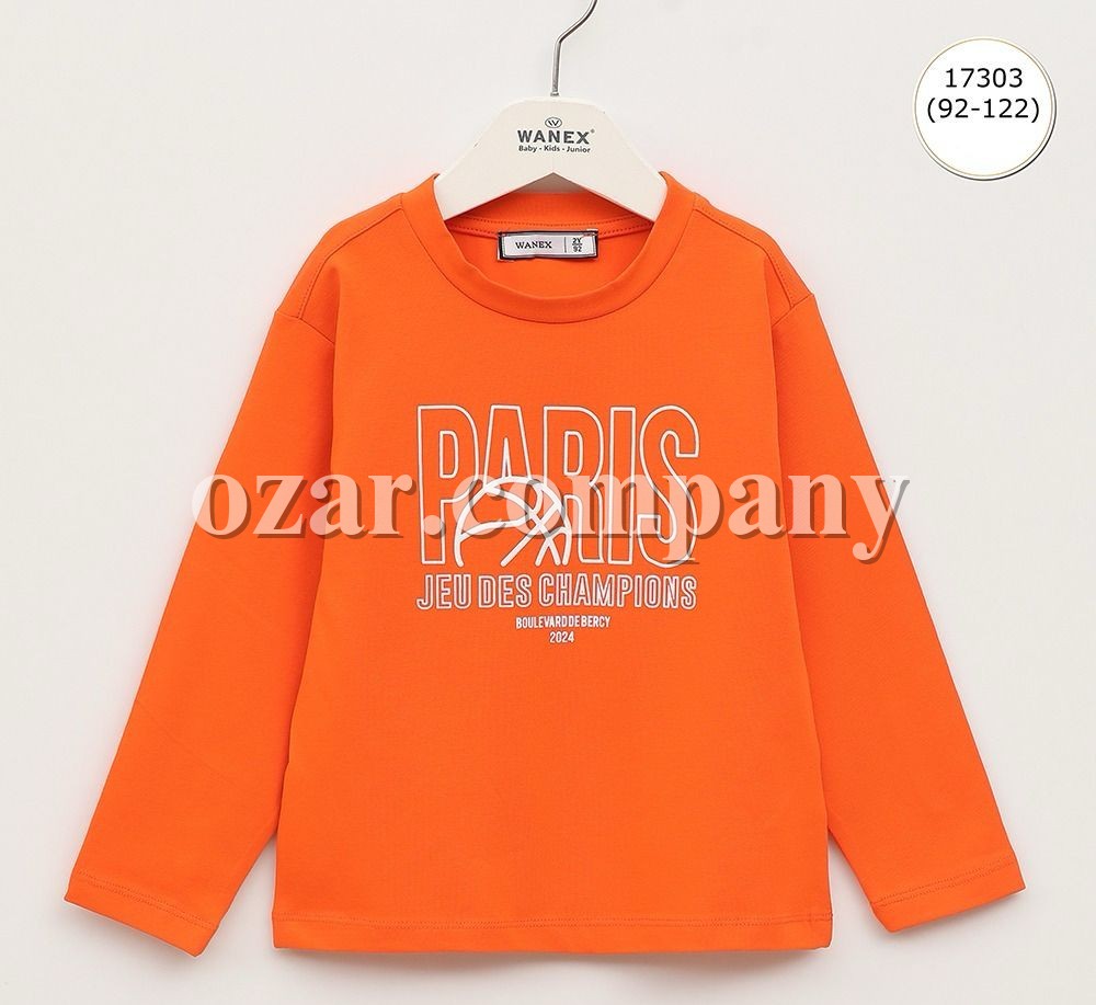 Свитшот Для Мальчика Wanex (2-3-4-5-6-7лет) 