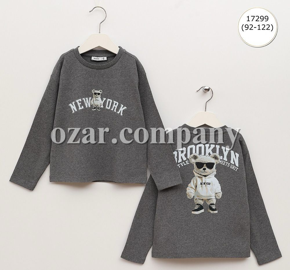 Свитшот Для Мальчика Wanex (2-3-4-5-6-7лет) 