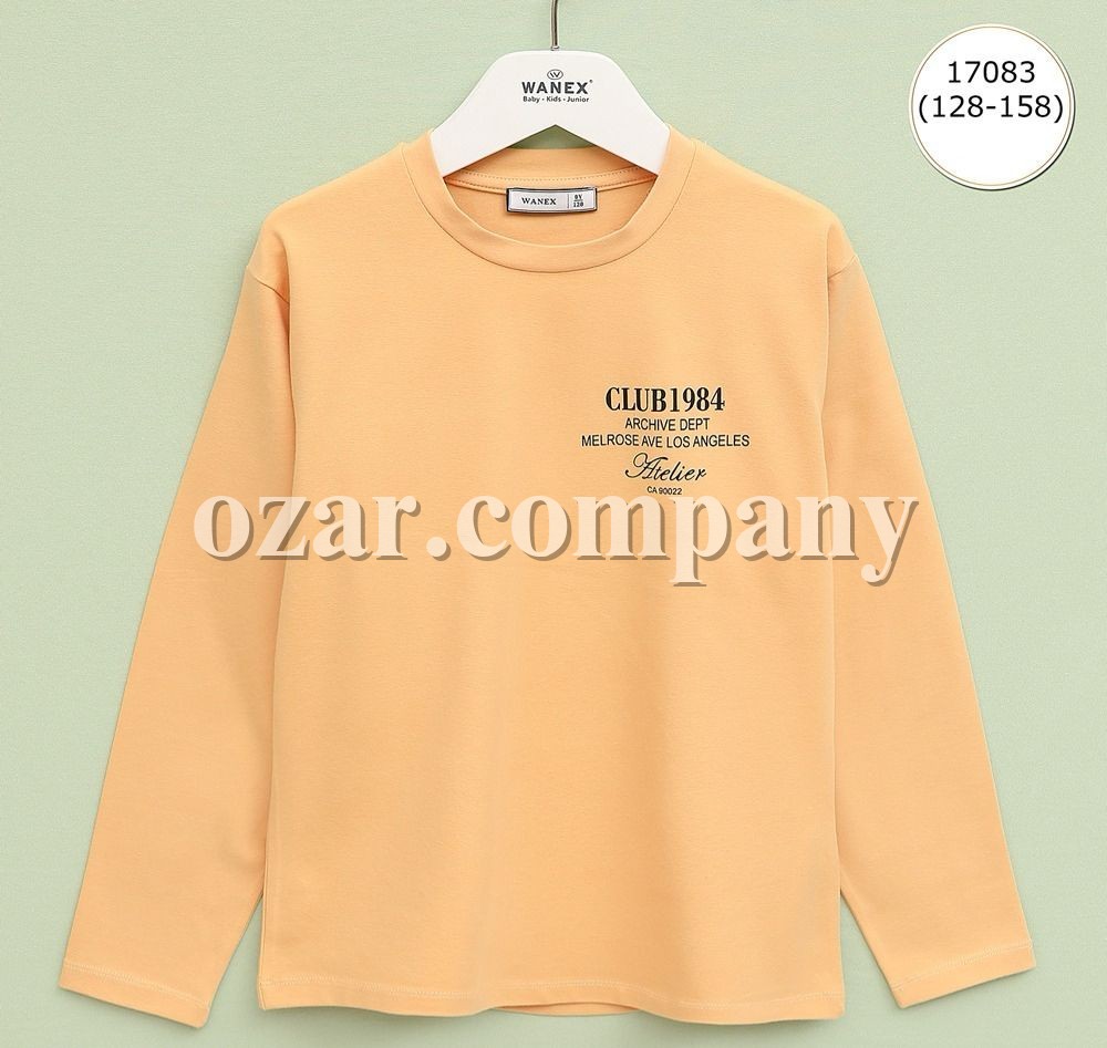 Свитшот Для Мальчика Wanex (8-9-10-11-12-13лет) 