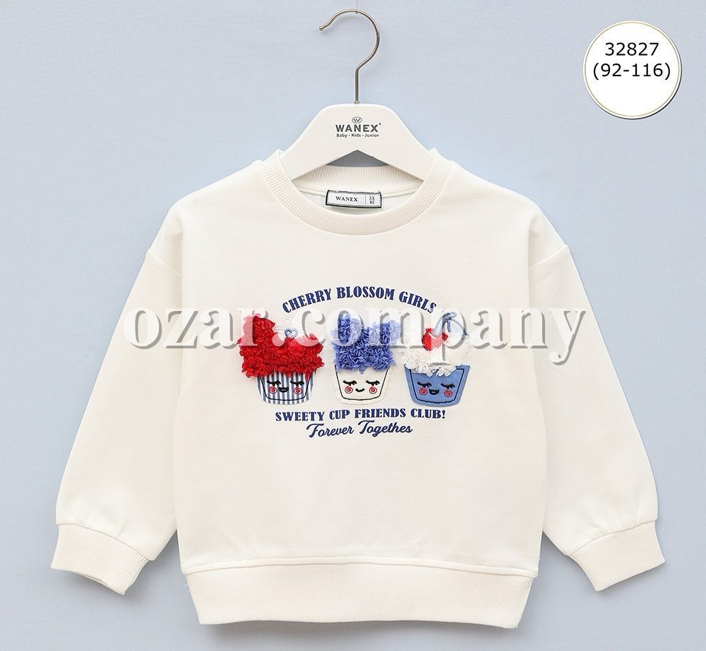 Свитшот Для Девочки Wanex (2-3-4-5-6лет) 