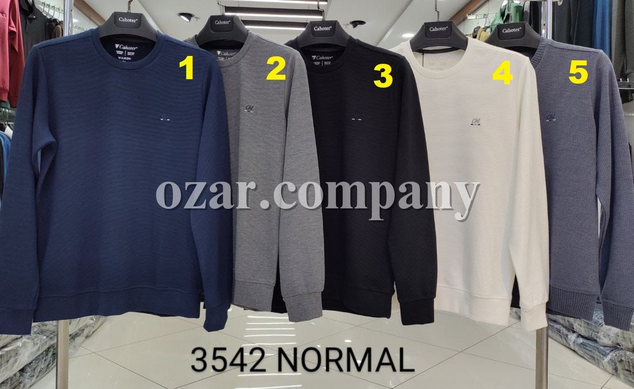 Мужская Футболка На Длинный Рукав Cahoter