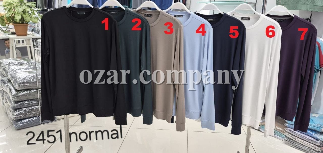 Мужская Футболка На Длинный Рукав Cahoter