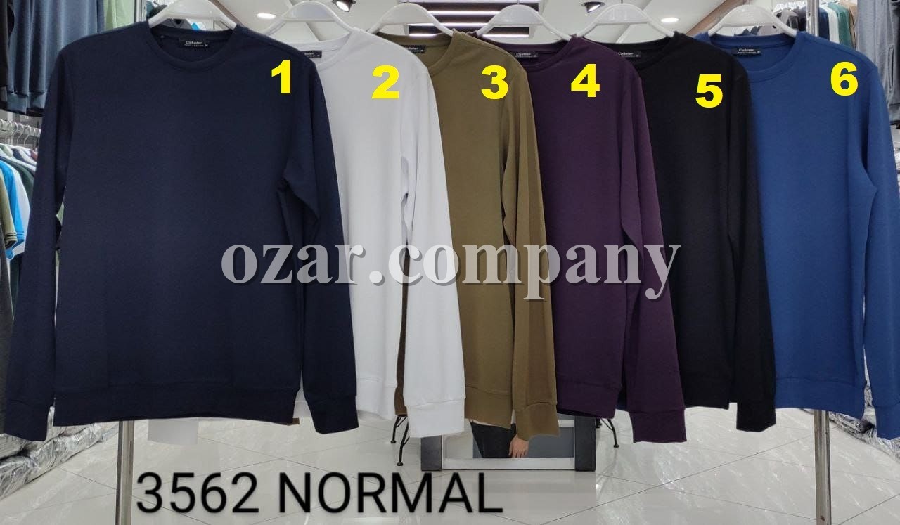 Мужская Футболка На Длинный Рукав Cahoter