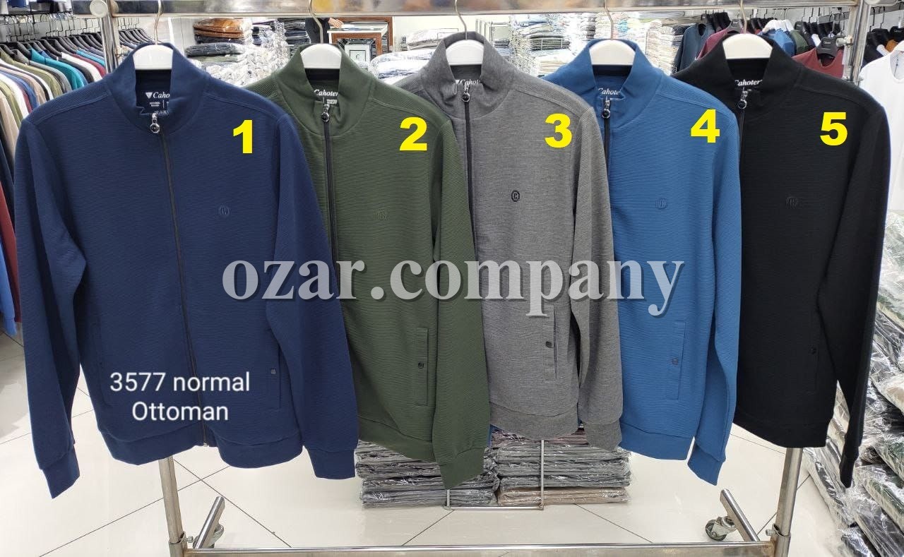 Мужская Мастерка Cahoter