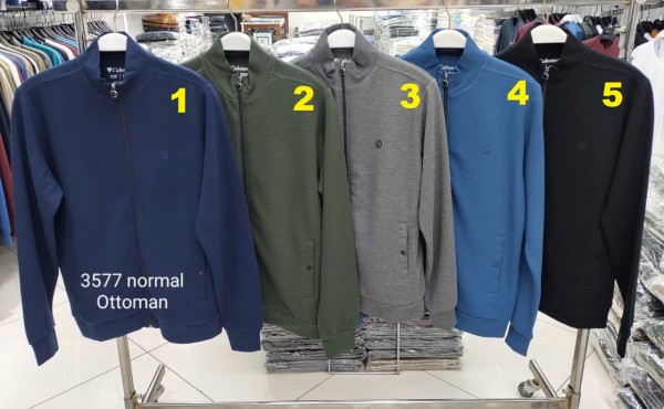 Мужская Мастерка Cahoter