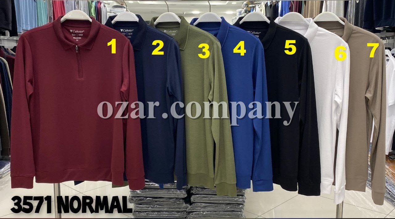 Мужская Футболка На Длинный Рукав Cahoter