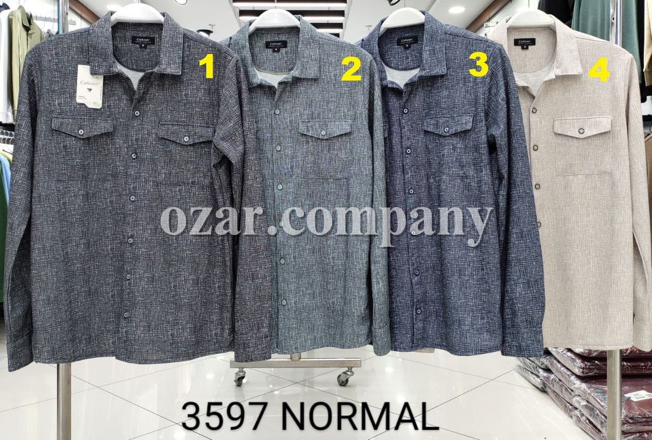 Мужская Рубашка Cahoter