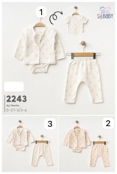 Комплект Для Мальчика SD Baby (0-1/1-3/3-6мес.)