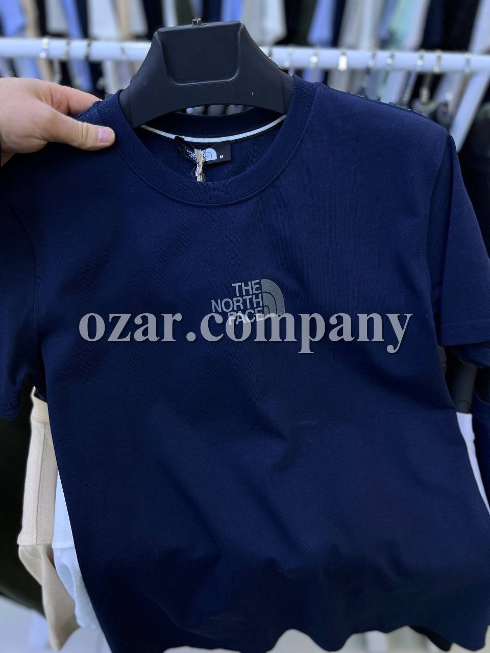 Мужская Футболка The North Face