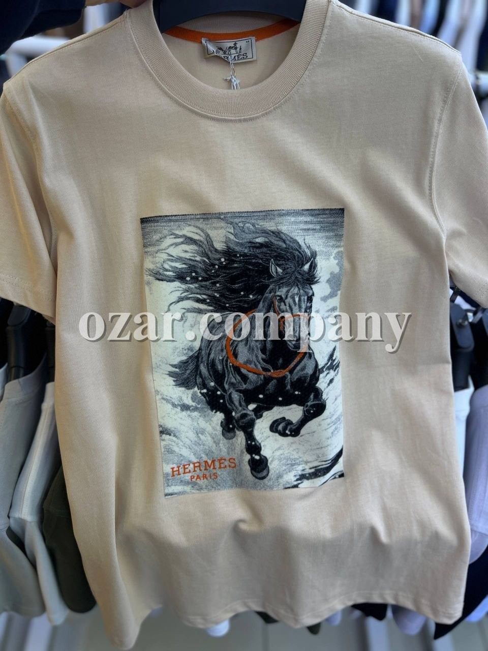 Мужская Футболка Hermes