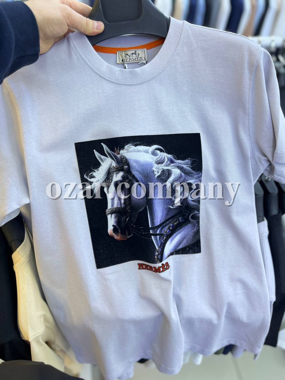 Мужская Футболка Hermes