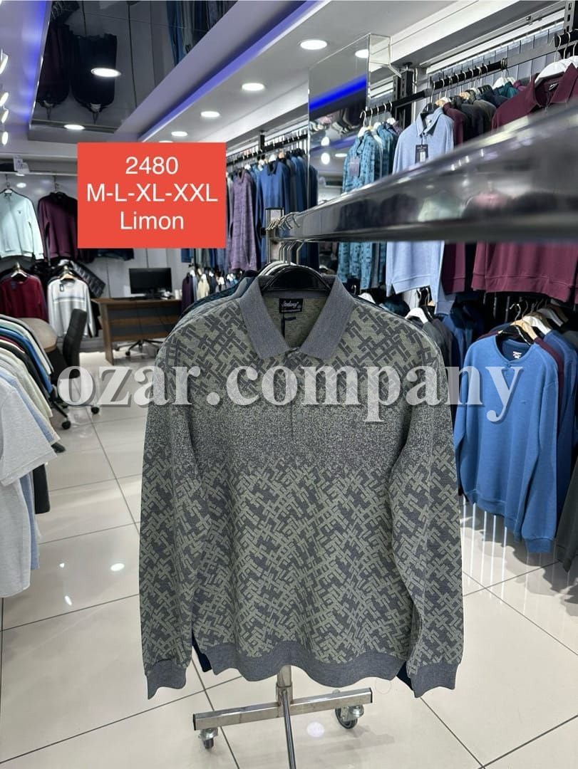 Мужская Футболка На Длинный Рукав Steel Way 