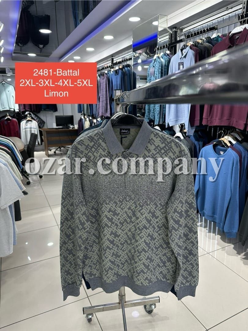 Мужская Футболка На Длинный Рукав Steel Way (Большие размеры)