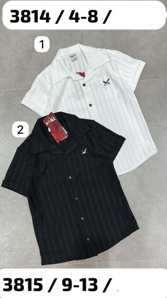 Рубашка Для Мальчика Troy (4-5-6-7-8лет) 