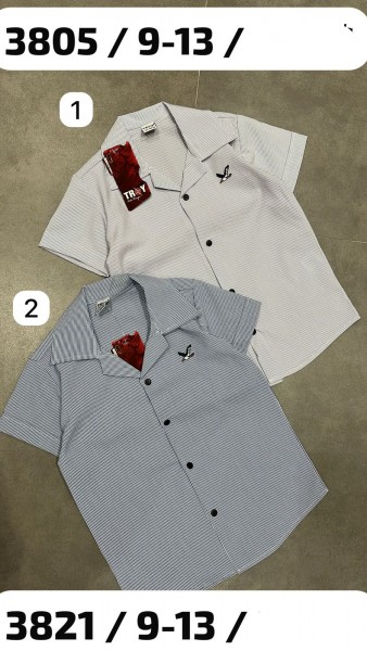 Рубашка Для Мальчика Troy (9-10-11-12-13лет) 