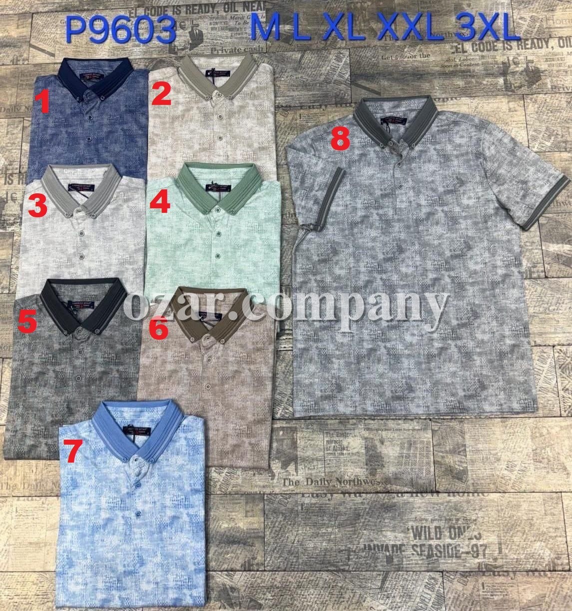 Мужская Футболка Marco Star