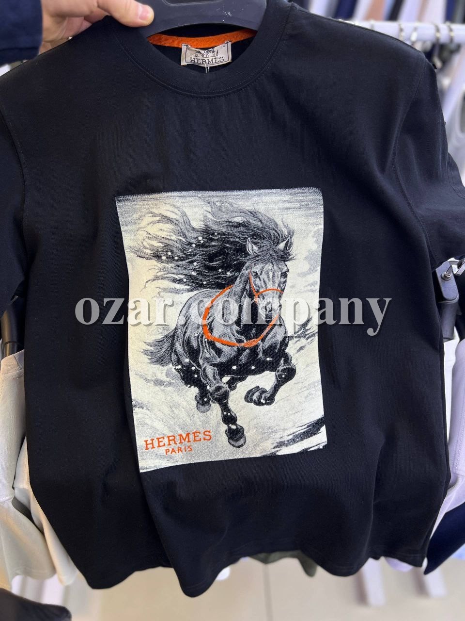 Мужская Футболка Hermes