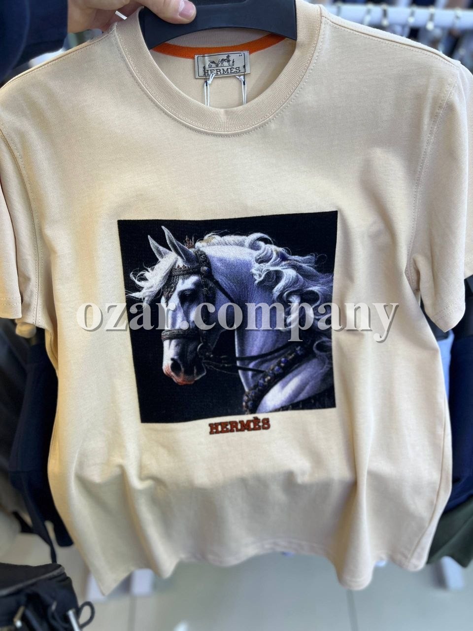 Мужская Футболка Hermes