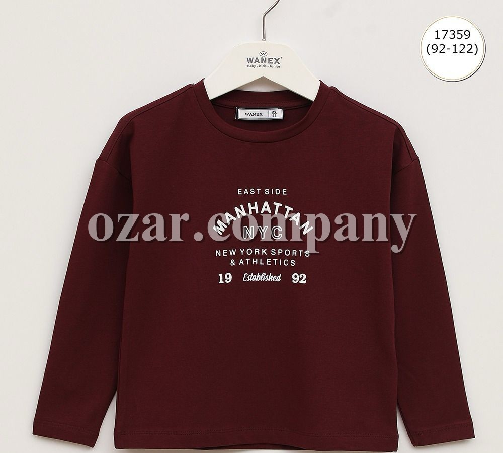 Свитшот Для Мальчика Wanex (2-3-4-5-6-7лет) 